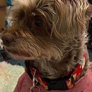 Meet your Posher, Steph